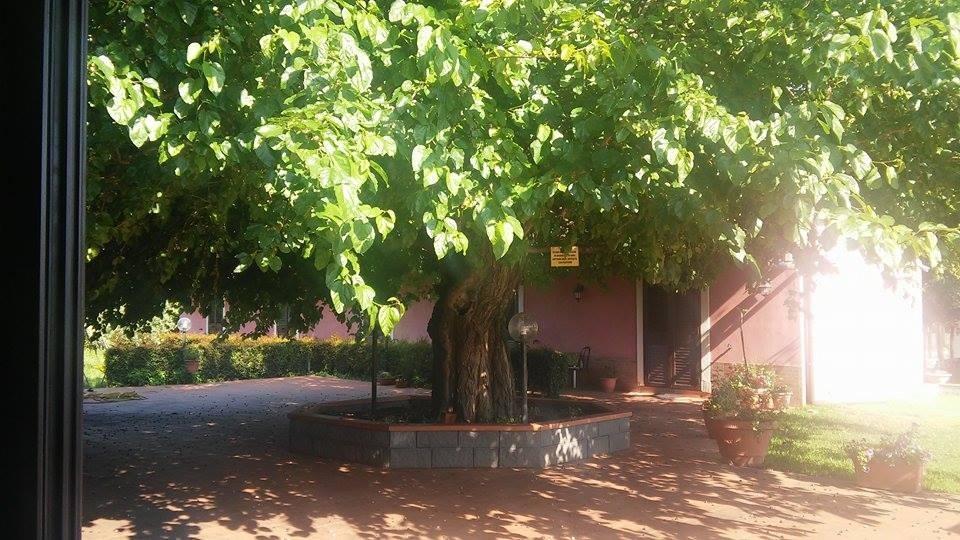 Agriturismo Il Pozzo Antico Mascali Kültér fotó